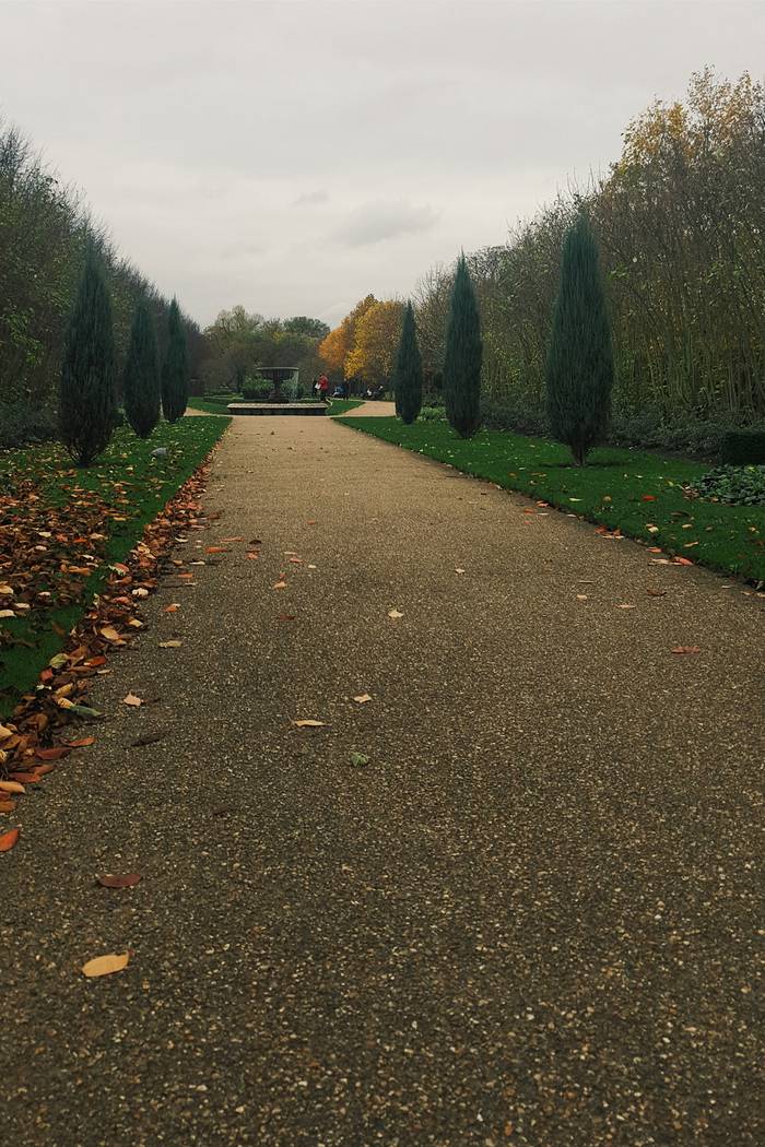 Regent's Park in Autumn